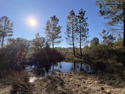 Quinta 5900m2 com ruína registada, barragem, 2 poços e eletricidade — Vilares de Baixo