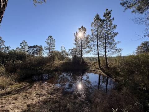 Quinta 5900m2 com ruína registada, barragem, 2 poços e eletricidade — Vilares de Baixo