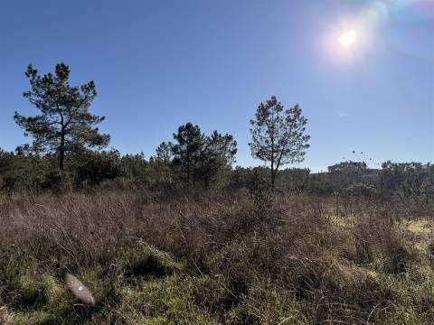 Quinta 5900m2 com ruína registada, barragem, 2 poços e eletricidade — Vilares de Baixo