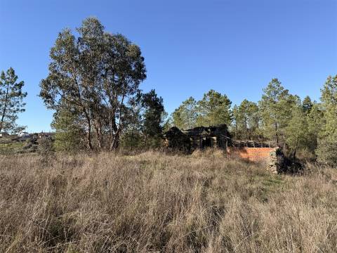 Quinta 5900m2 com ruína registada, barragem, 2 poços e eletricidade — Vilares de Baixo