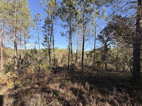 Quinta 5900m2 com ruína registada, barragem, 2 poços e eletricidade — Vilares de Baixo