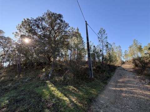 Quinta 5900m2 com ruína registada, barragem, 2 poços e eletricidade — Vilares de Baixo