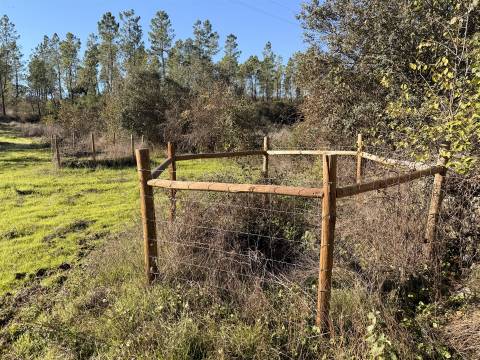 Quinta 5900m2 com ruína registada, barragem, 2 poços e eletricidade — Vilares de Baixo