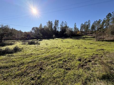 Quinta 5900m2 com ruína registada, barragem, 2 poços e eletricidade — Vilares de Baixo