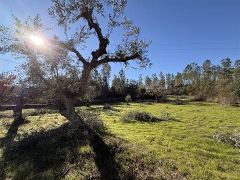 Quinta 5900m2 com ruína registada, barragem, 2 poços e eletricidade — Vilares de Baixo
