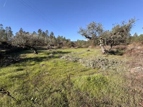 Quinta 5900m2 com ruína registada, barragem, 2 poços e eletricidade — Vilares de Baixo