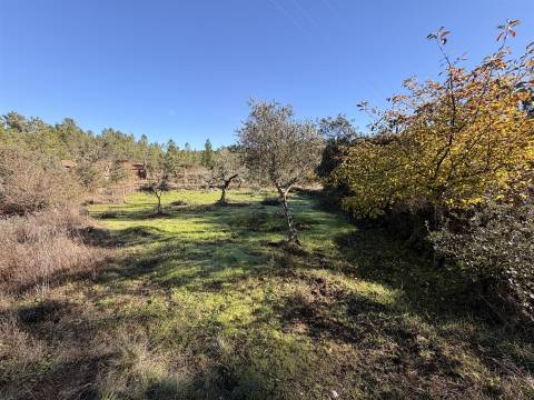 Quinta 5900m2 com ruína registada, barragem, 2 poços e eletricidade — Vilares de Baixo