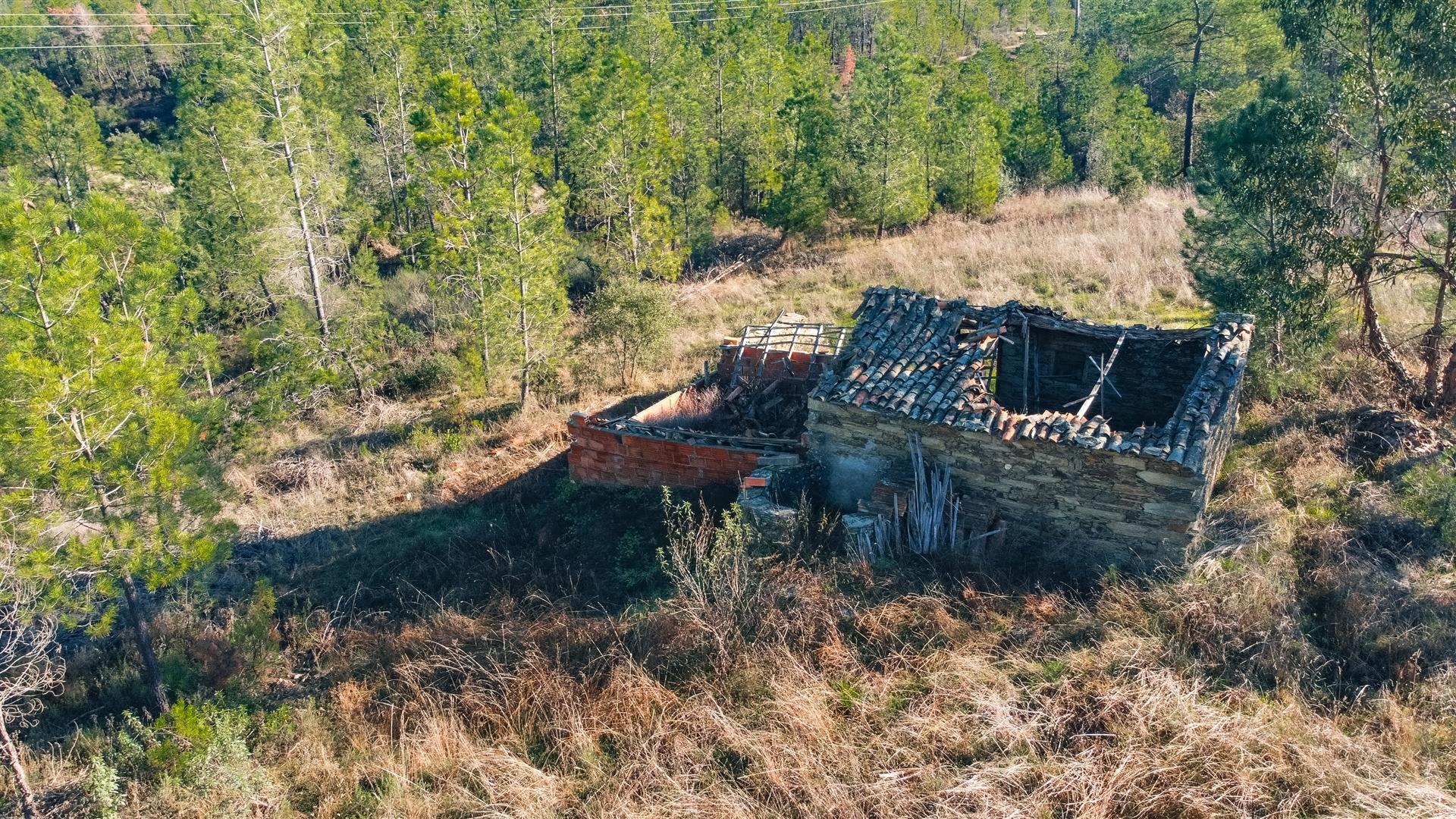 Quinta 5900m2 com ruína registada, barragem, 2 poços e eletricidade — Vilares de Baixo