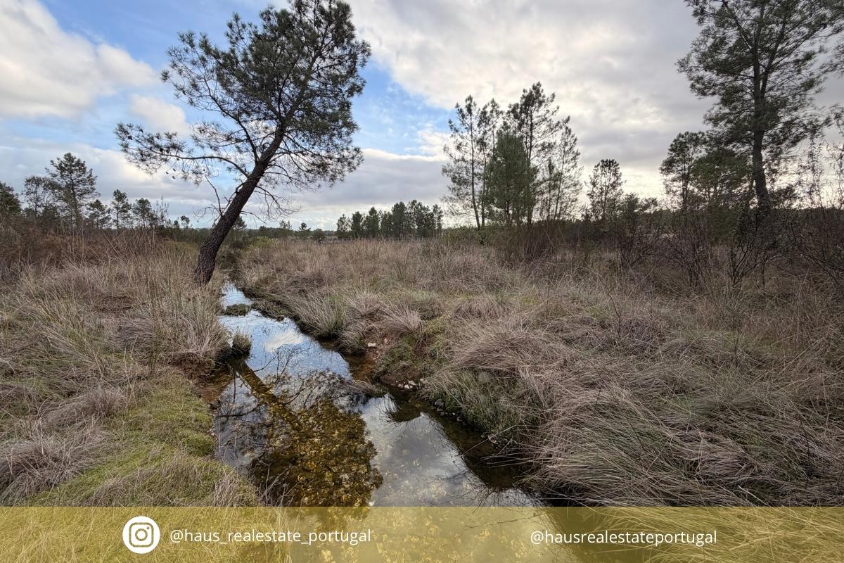 Quinta T0 Venda em Sarzedas,Castelo Branco