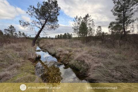 Quinta T0 Venda em Sarzedas,Castelo Branco