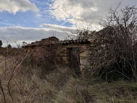 Quinta T0 Venda em Sarzedas,Castelo Branco