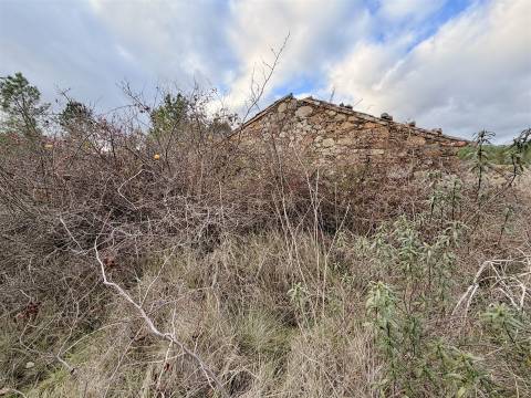 Quinta T0 Venda em Sarzedas,Castelo Branco