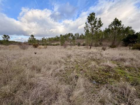 Quinta T0 Venda em Sarzedas,Castelo Branco