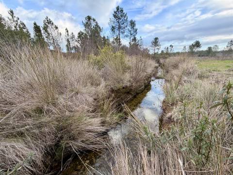 Quinta T0 Venda em Sarzedas,Castelo Branco