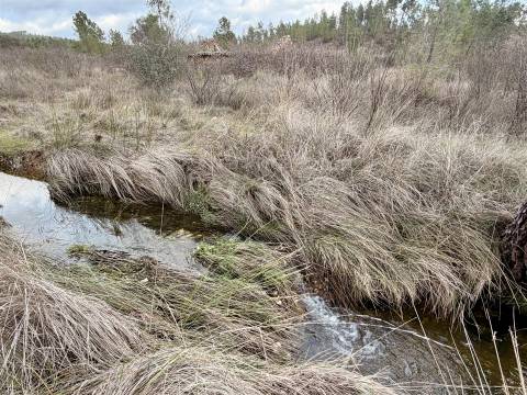 Quinta T0 Venda em Sarzedas,Castelo Branco