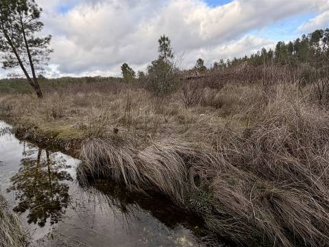 Quinta T0 Venda em Sarzedas,Castelo Branco