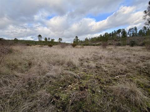 Quinta T0 Venda em Sarzedas,Castelo Branco