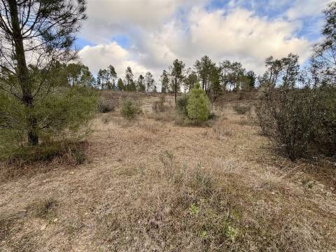 Quinta T0 Venda em Sarzedas,Castelo Branco