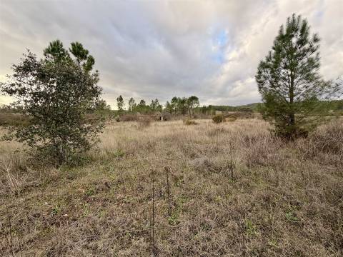 Quinta T0 Venda em Sarzedas,Castelo Branco