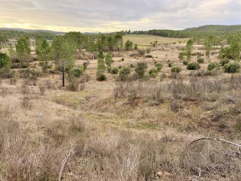 Quinta T0 Venda em Sarzedas,Castelo Branco