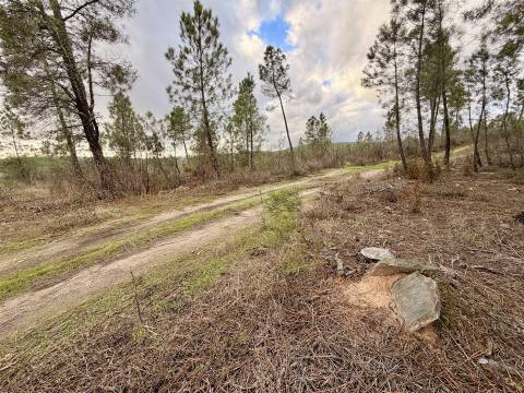 Quinta T0 Venda em Sarzedas,Castelo Branco