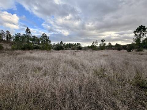 Quinta T0 Venda em Sarzedas,Castelo Branco