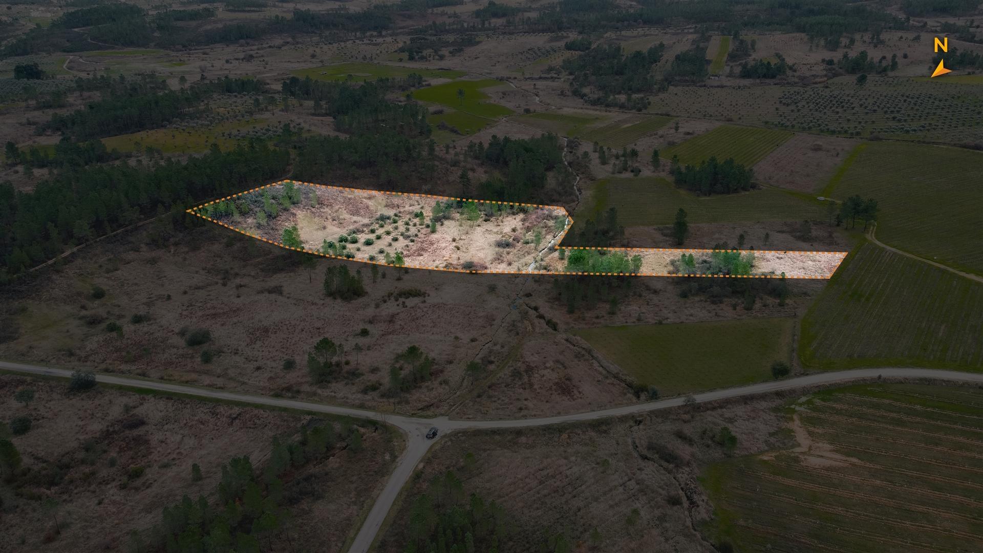 Quinta T0 Venda em Sarzedas,Castelo Branco