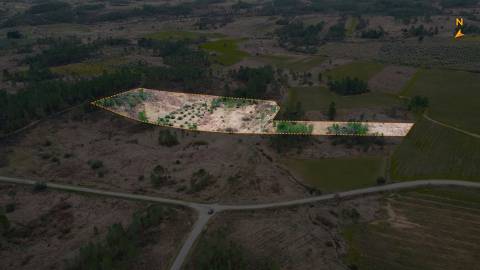 Quinta T0 Venda em Sarzedas,Castelo Branco