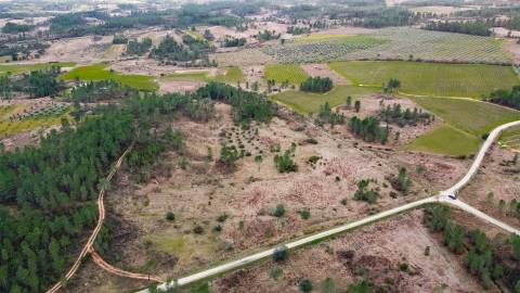 Quinta T0 Venda em Sarzedas,Castelo Branco