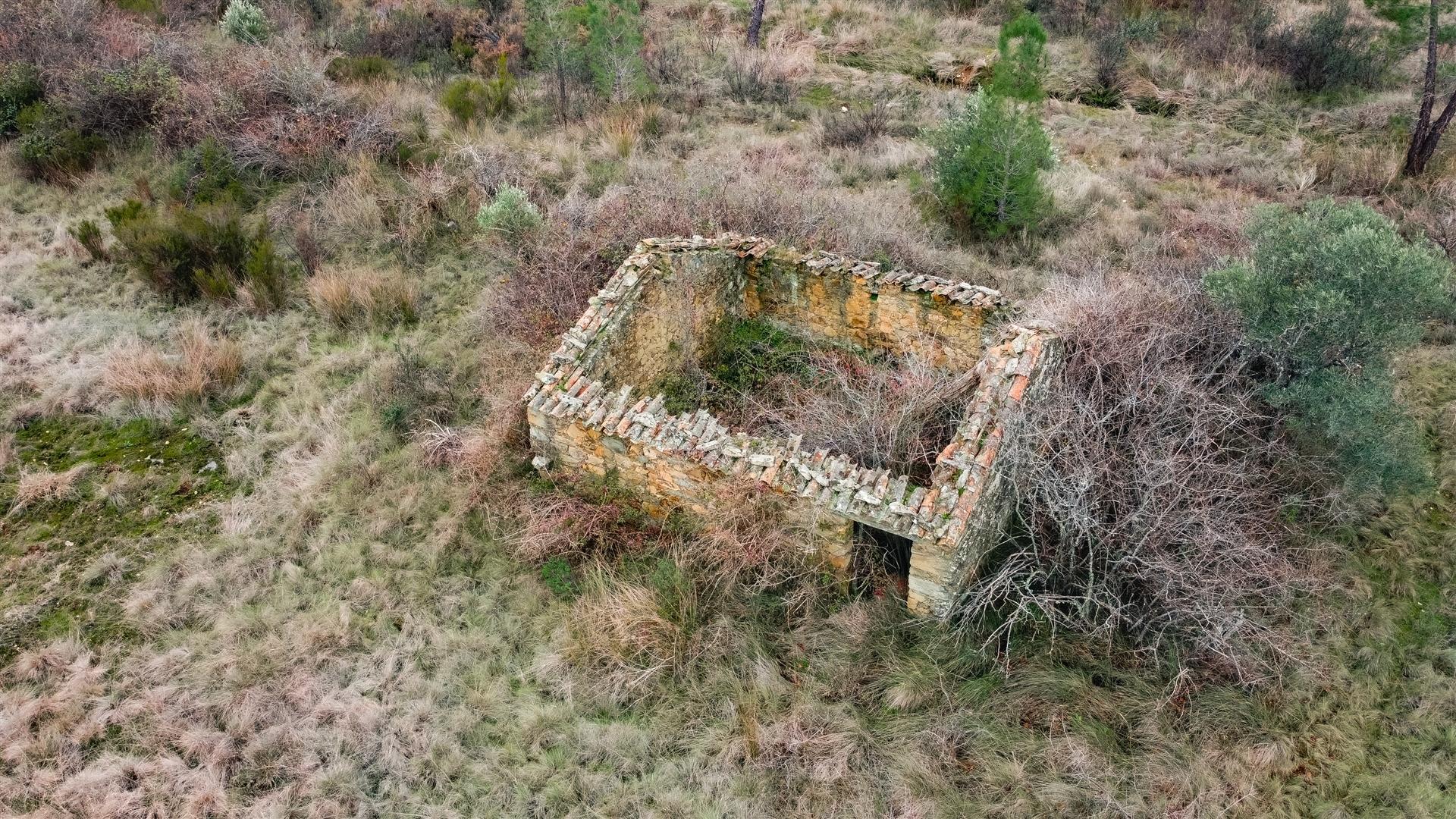 Quinta T0 Venda em Sarzedas,Castelo Branco