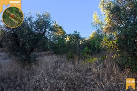 Terreno Rústico 2.300m² c/ Muros de Pedra – Juncal do Campo
