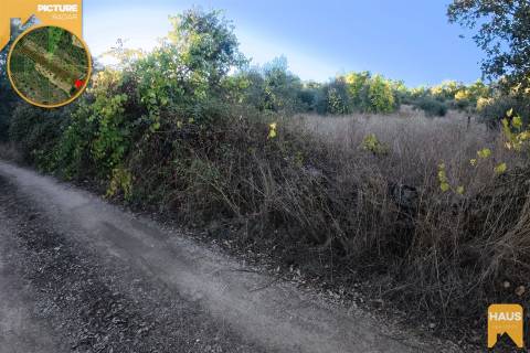 Terreno Rústico 2.300m² c/ Muros de Pedra – Juncal do Campo