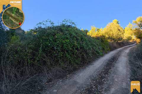 Terreno Rústico 2.300m² c/ Muros de Pedra – Juncal do Campo