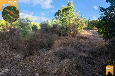 Terreno Rústico 2.300m² c/ Muros de Pedra – Juncal do Campo