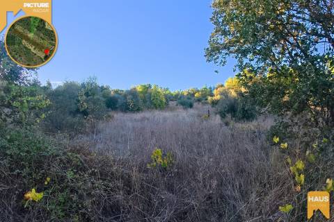 Terreno Rústico 2.300m² c/ Muros de Pedra – Juncal do Campo