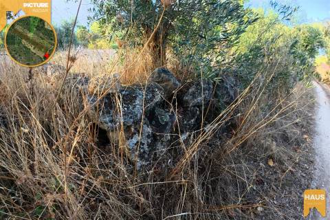 Terreno Rústico 2.300m² c/ Muros de Pedra – Juncal do Campo