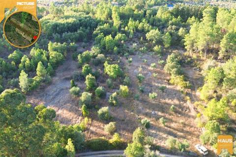Terreno Rústico 2.300m² c/ Muros de Pedra – Juncal do Campo