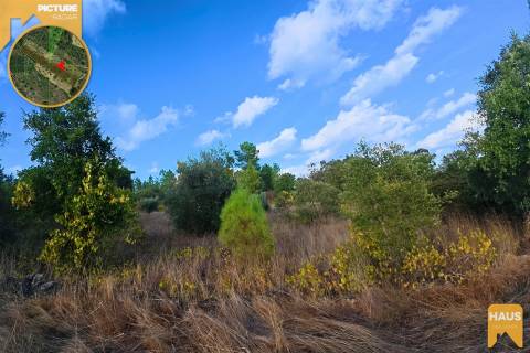 Terreno Rústico 2.300m² c/ Muros de Pedra – Juncal do Campo