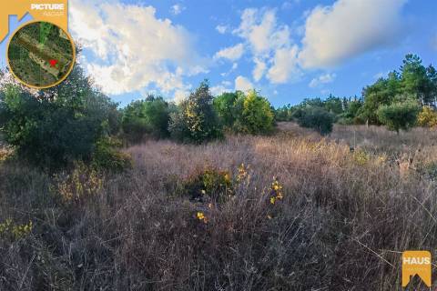 Terreno Rústico 2.300m² c/ Muros de Pedra – Juncal do Campo