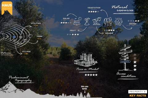 Terreno Rústico 2.300m² c/ Muros de Pedra – Juncal do Campo