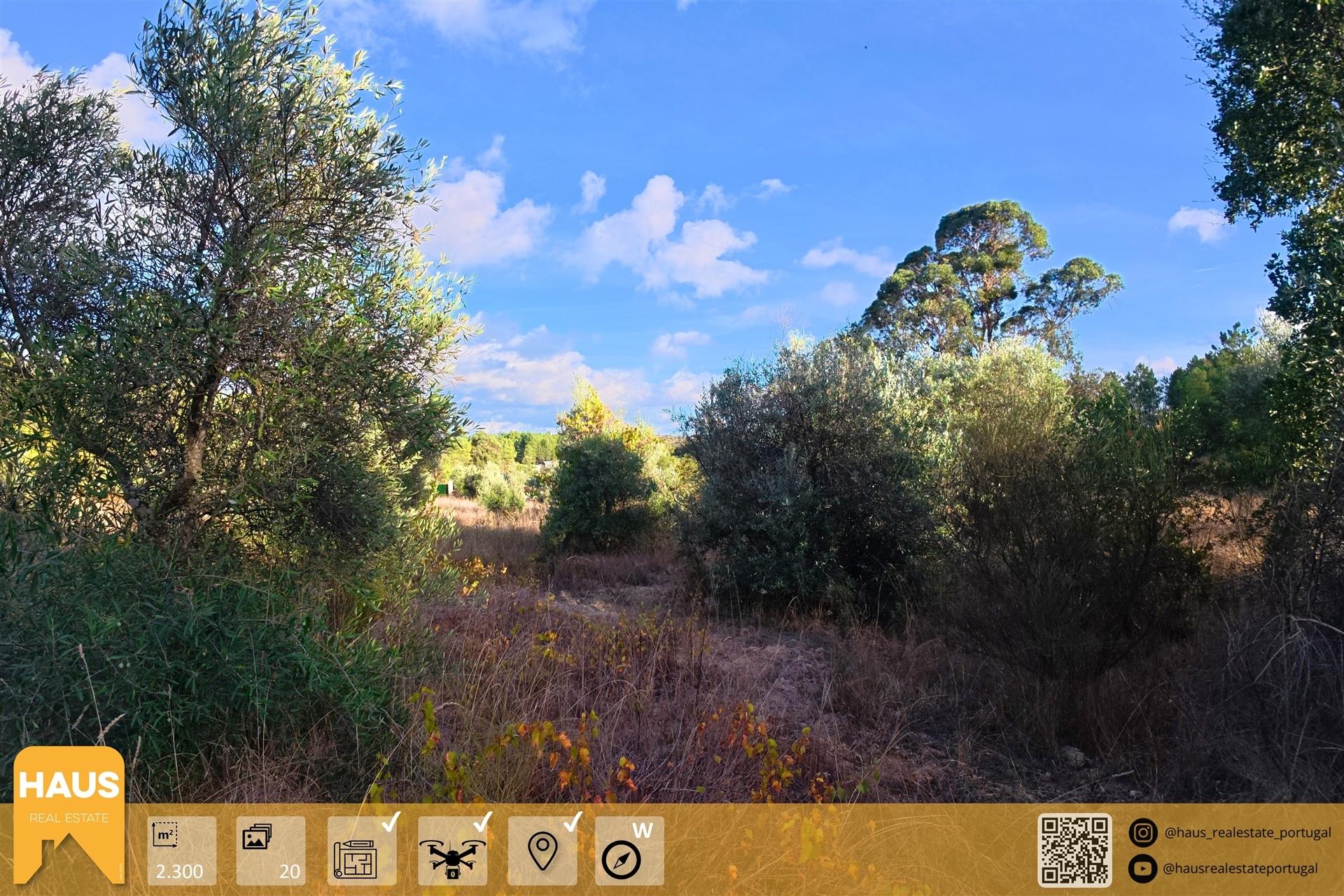 Terreno Rústico 2.300m² c/ Muros de Pedra – Juncal do Campo