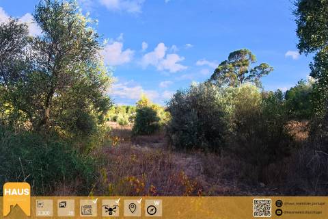 Terreno Rústico 2.300m² c/ Muros de Pedra – Juncal do Campo