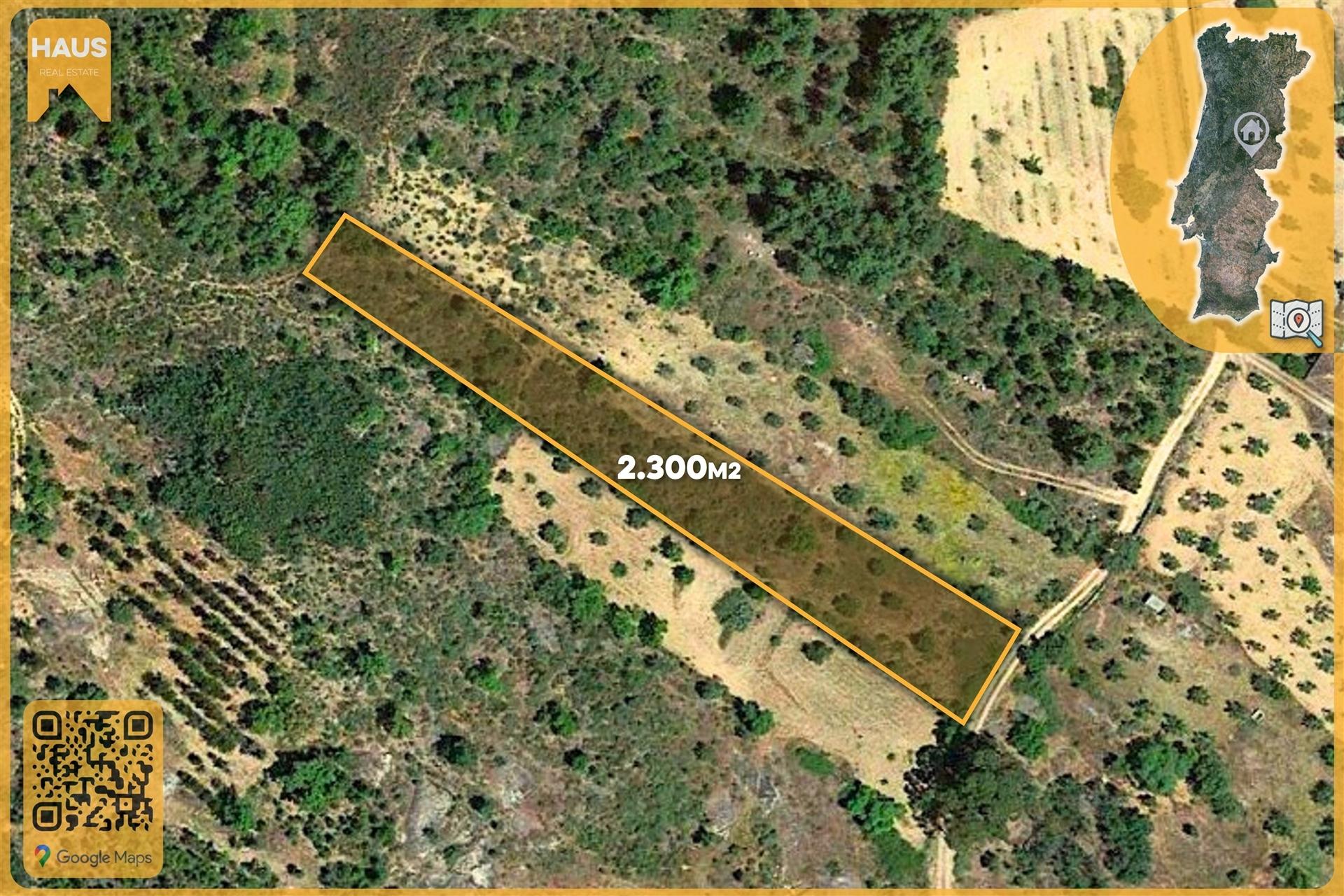 Terreno Rústico 2.300m² c/ Muros de Pedra – Juncal do Campo