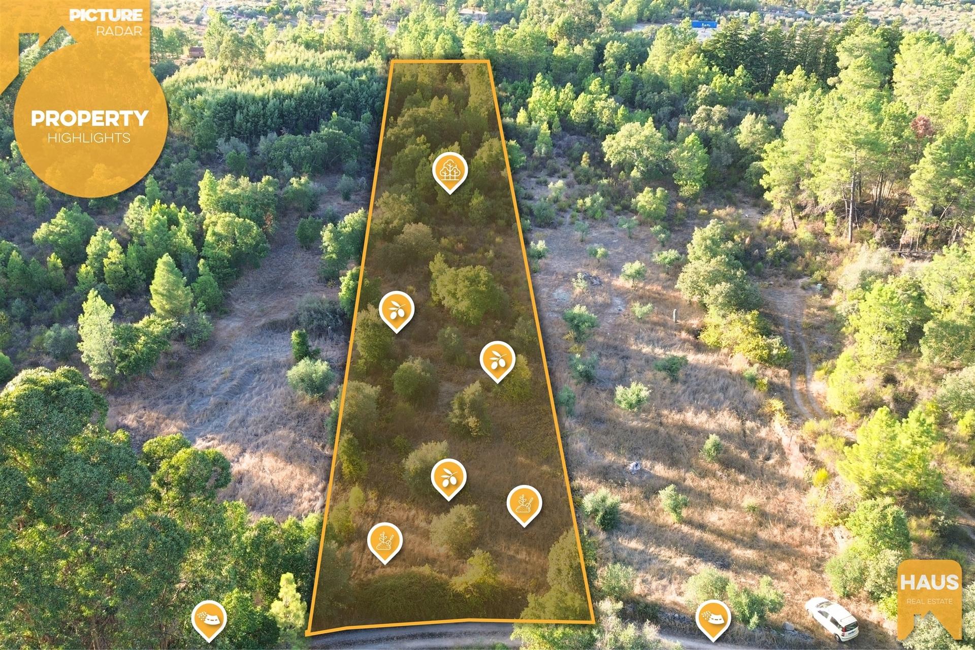 Terreno Rústico 2.300m² c/ Muros de Pedra – Juncal do Campo