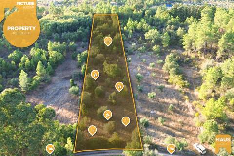 Terreno Rústico 2.300m² c/ Muros de Pedra – Juncal do Campo