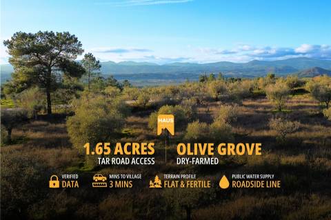 Terreno Plano 6.700m² c/ Vistas Panorâmicas – Salgueiro do Campo