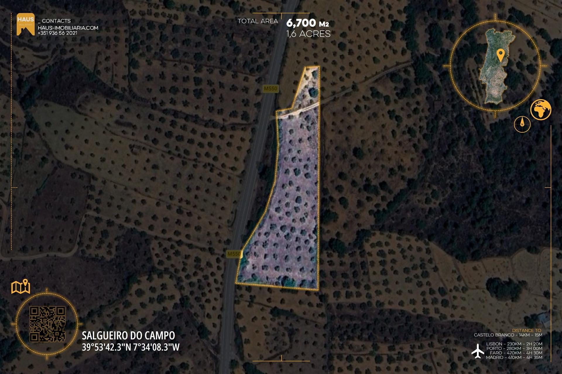 Terreno Plano 6.700m² c/ Vistas Panorâmicas – Salgueiro do Campo