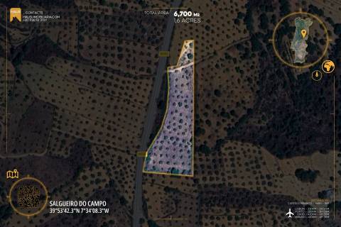 Terreno Plano 6.700m² c/ Vistas Panorâmicas – Salgueiro do Campo