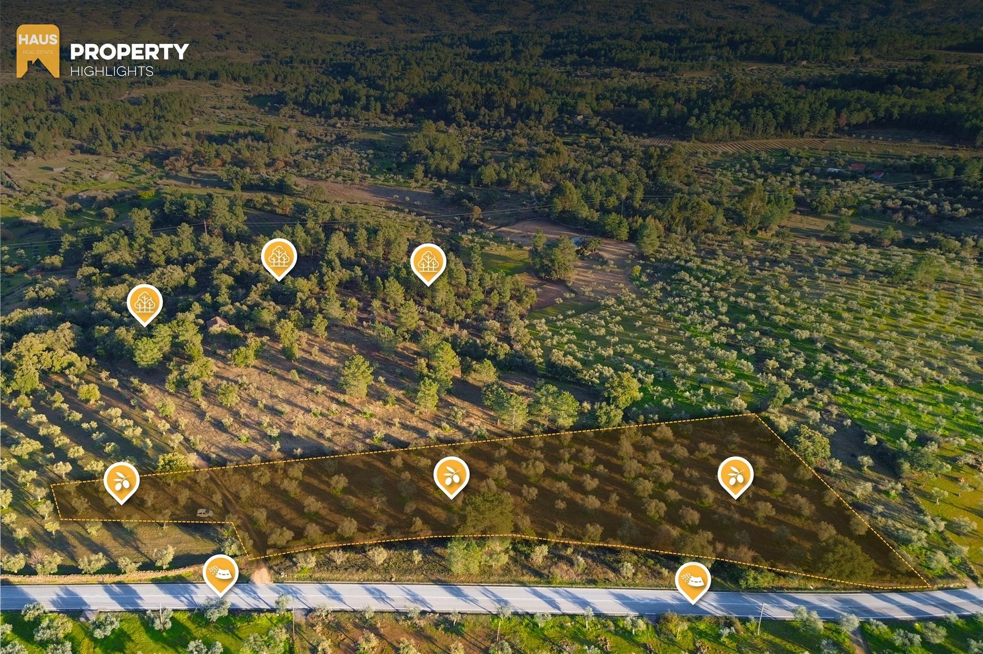 Terreno Plano 6.700m² c/ Vistas Panorâmicas – Salgueiro do Campo