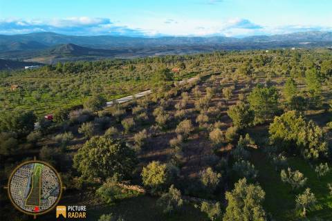 Terreno Plano 6.700m² c/ Vistas Panorâmicas – Salgueiro do Campo